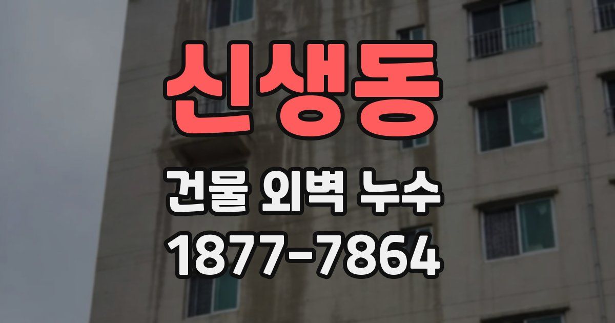 신생동 건물 외벽 누수