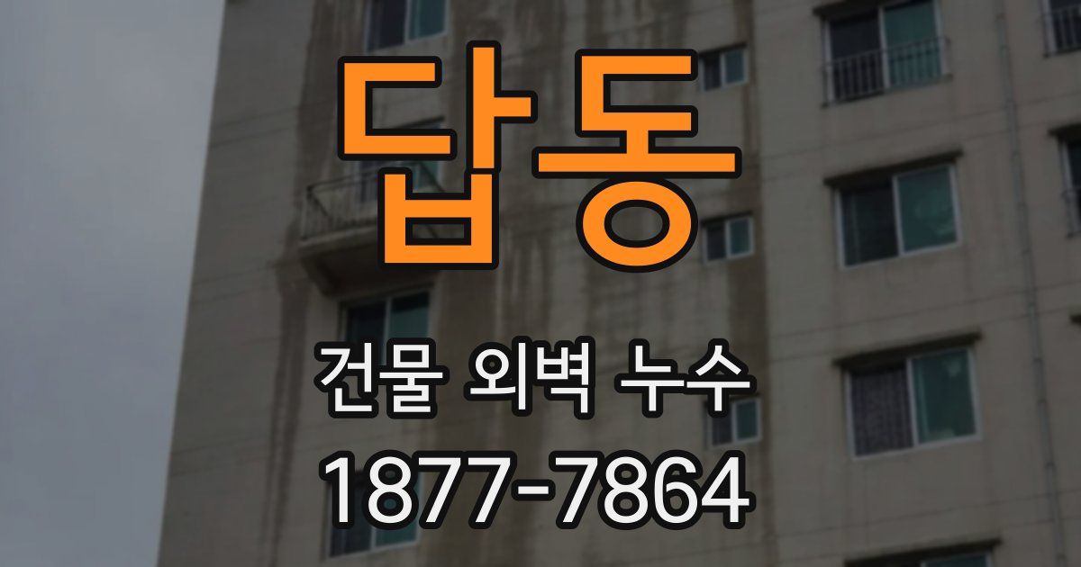 답동 건물 외벽 누수