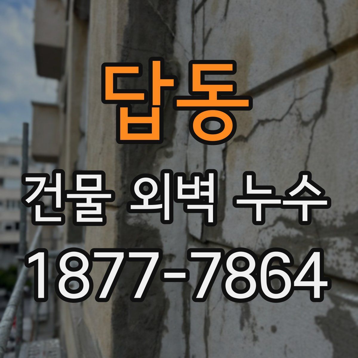 답동 건물 외벽 누수