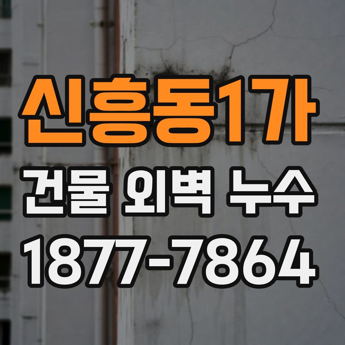 신흥동1가 건물 외벽 누수