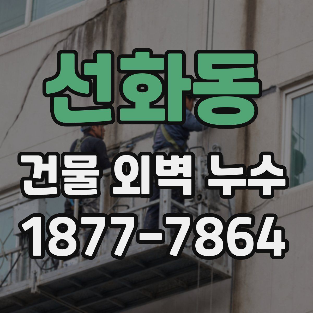 선화동 건물 외벽 누수