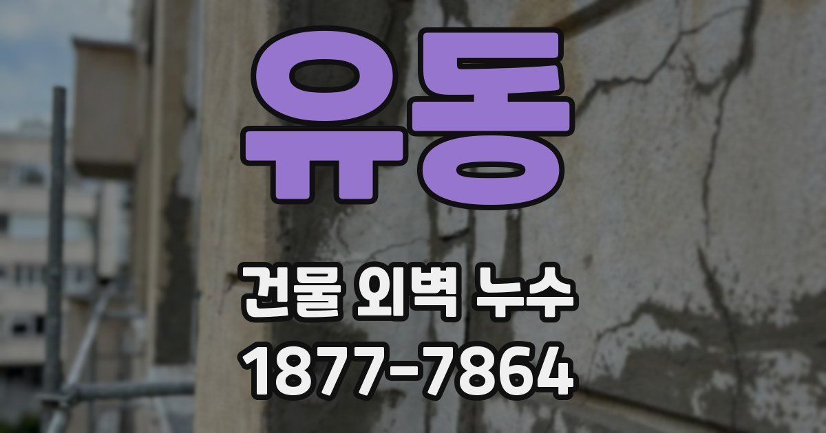 유동 건물 외벽 누수