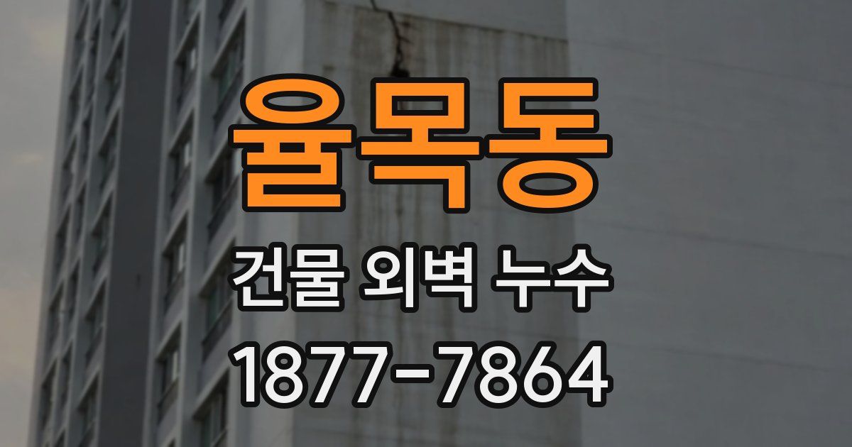 율목동 건물 외벽 누수