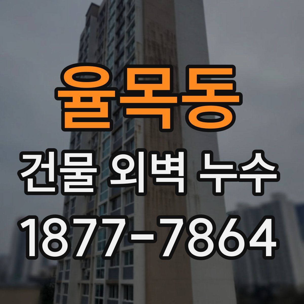 율목동 건물 외벽 누수