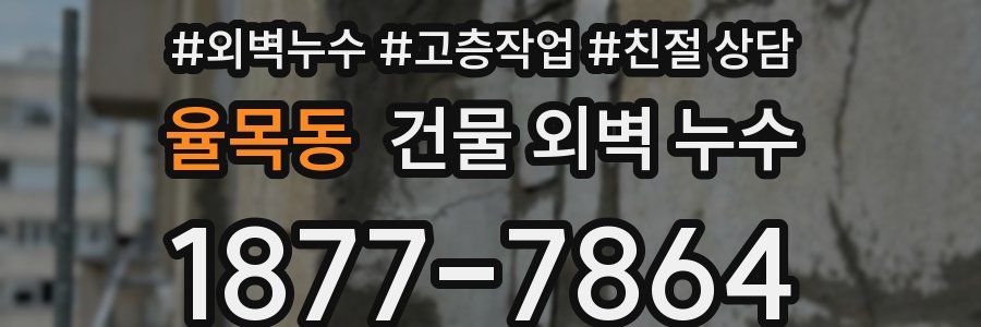 율목동 건물 외벽 누수