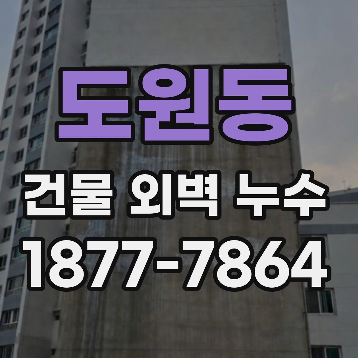 도원동 건물 외벽 누수