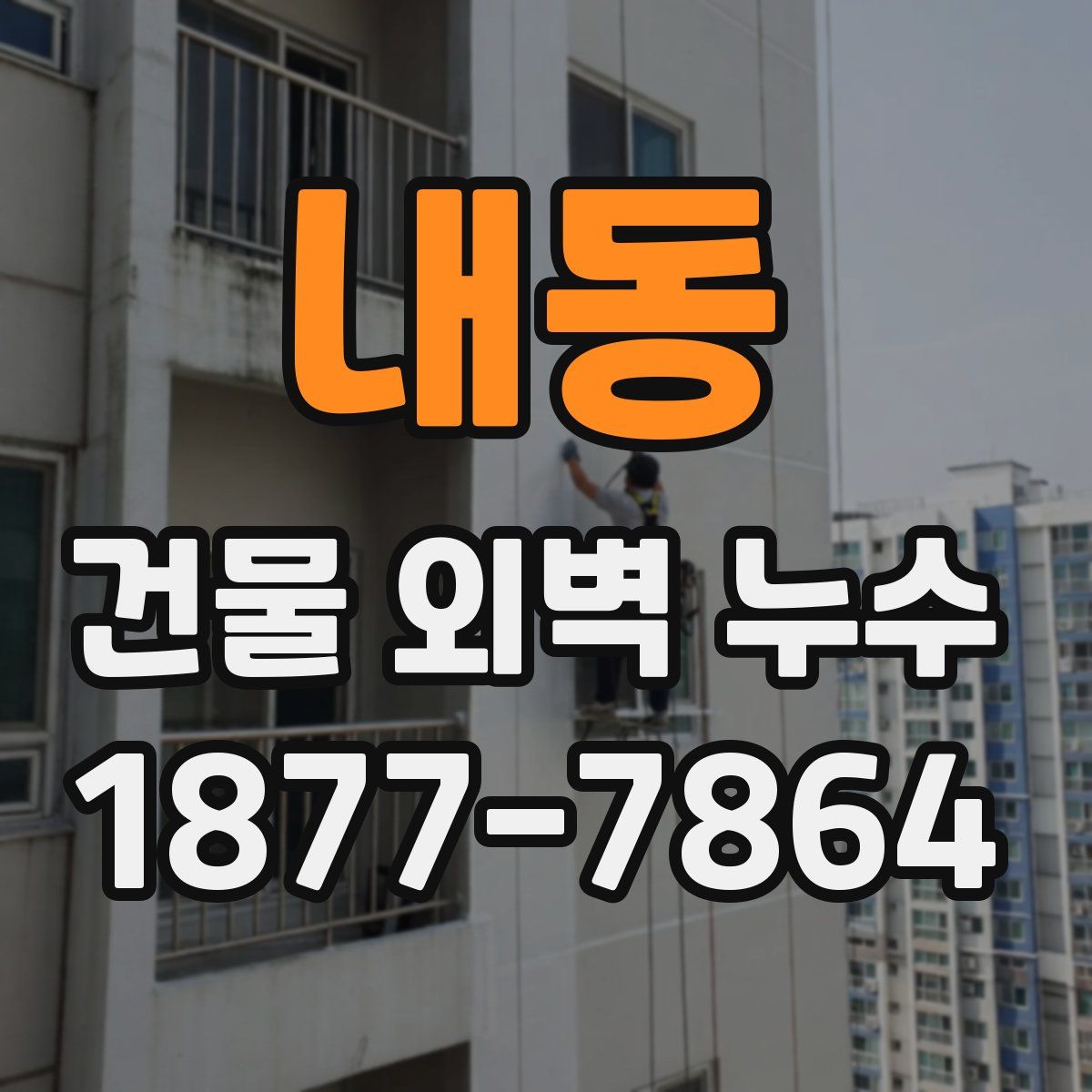 내동 건물 외벽 누수
