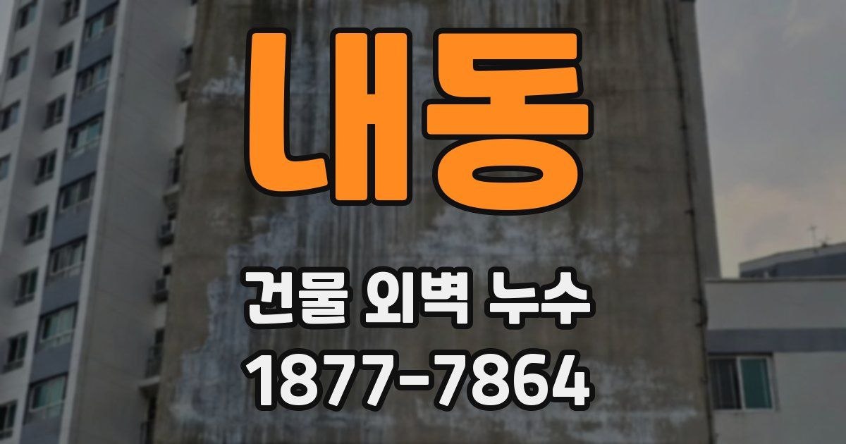 내동 건물 외벽 누수