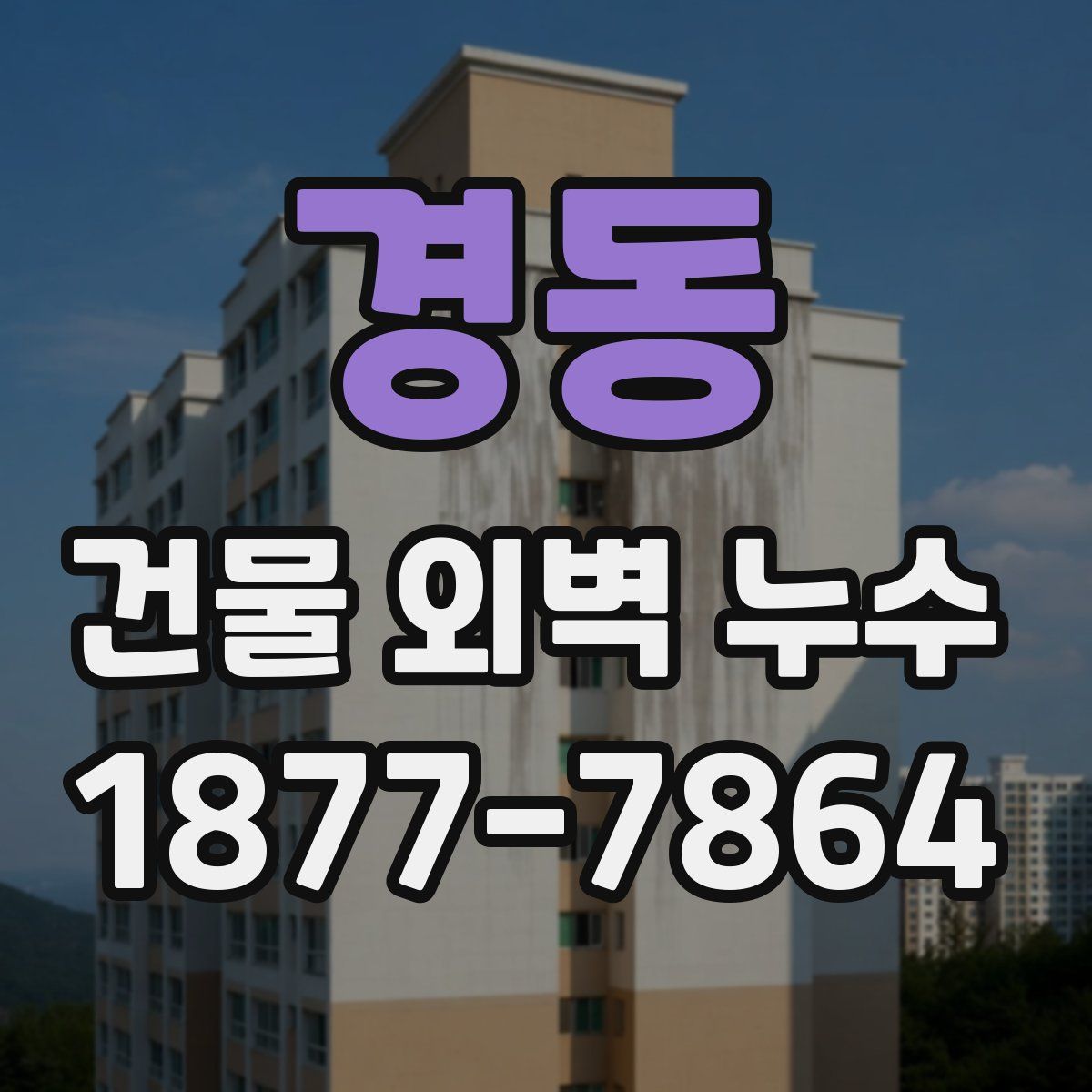 경동 건물 외벽 누수