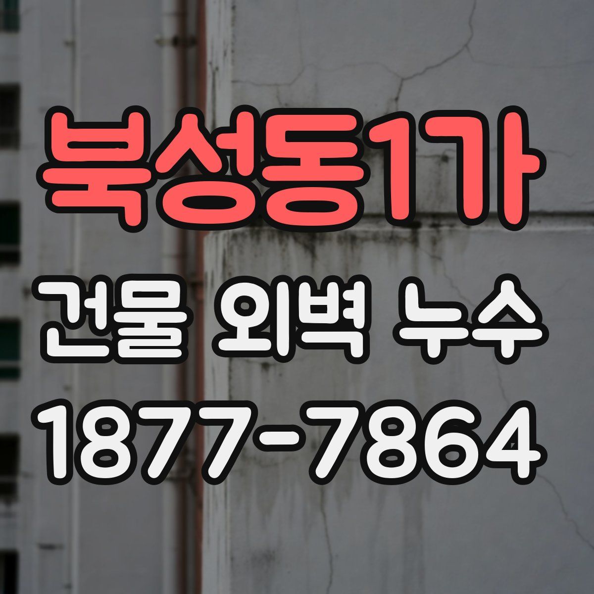 북성동1가 건물 외벽 누수