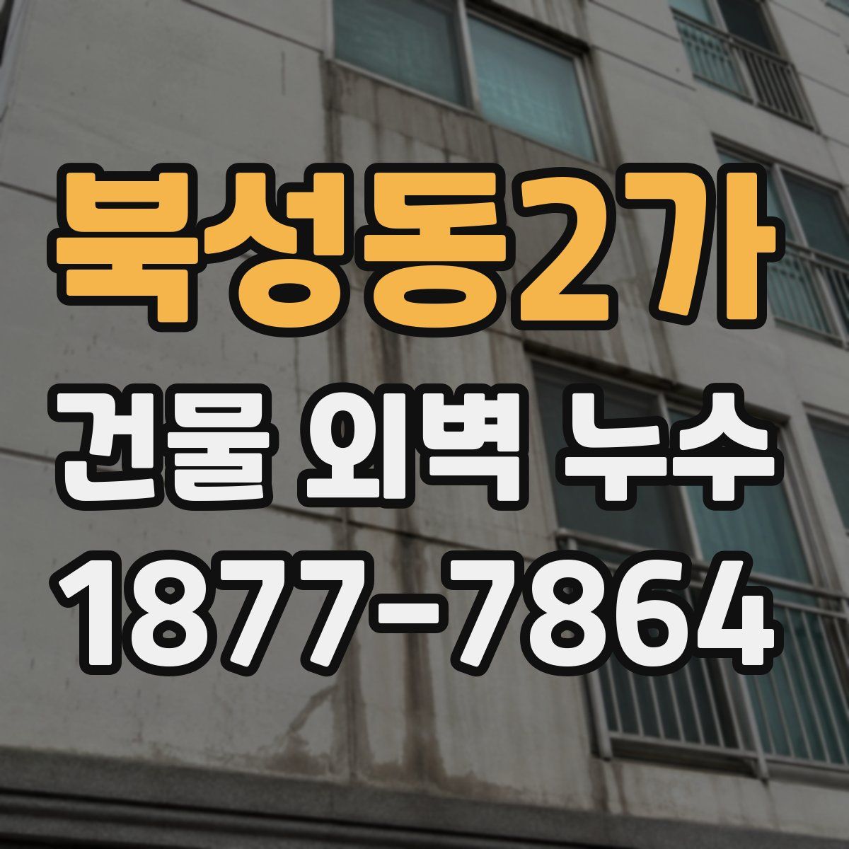 북성동2가 건물 외벽 누수