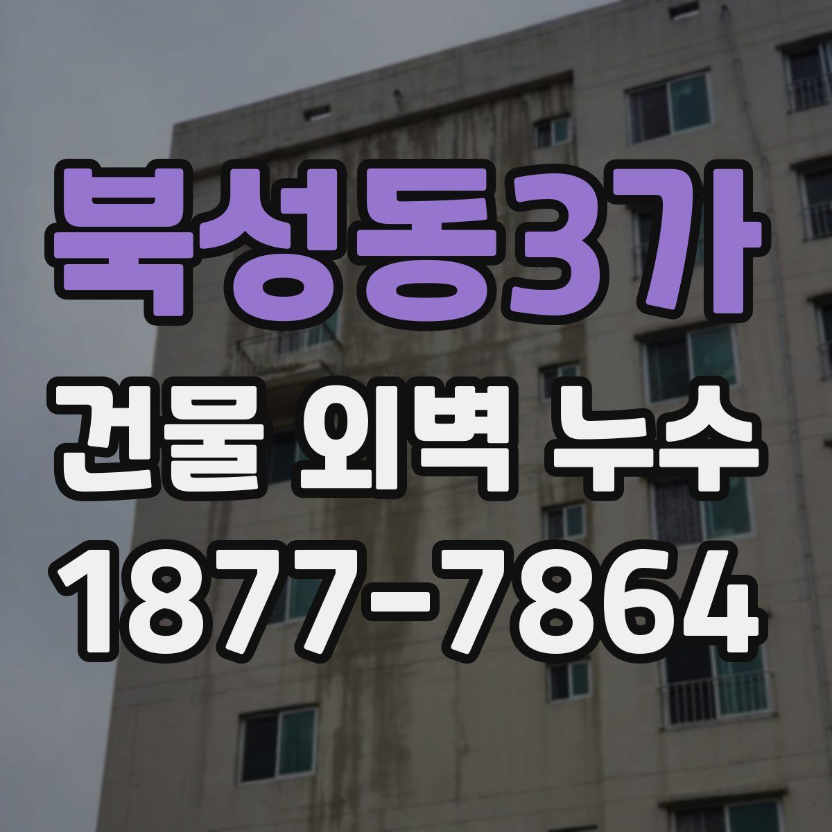 북성동3가 건물 외벽 누수