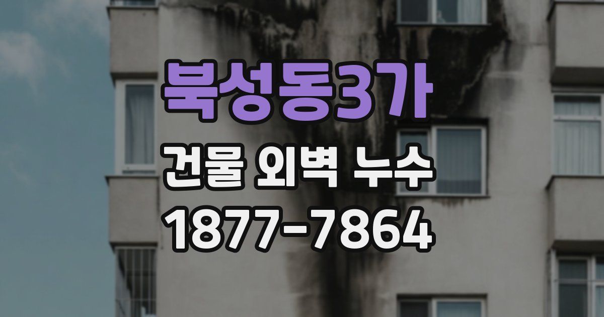 북성동3가 건물 외벽 누수
