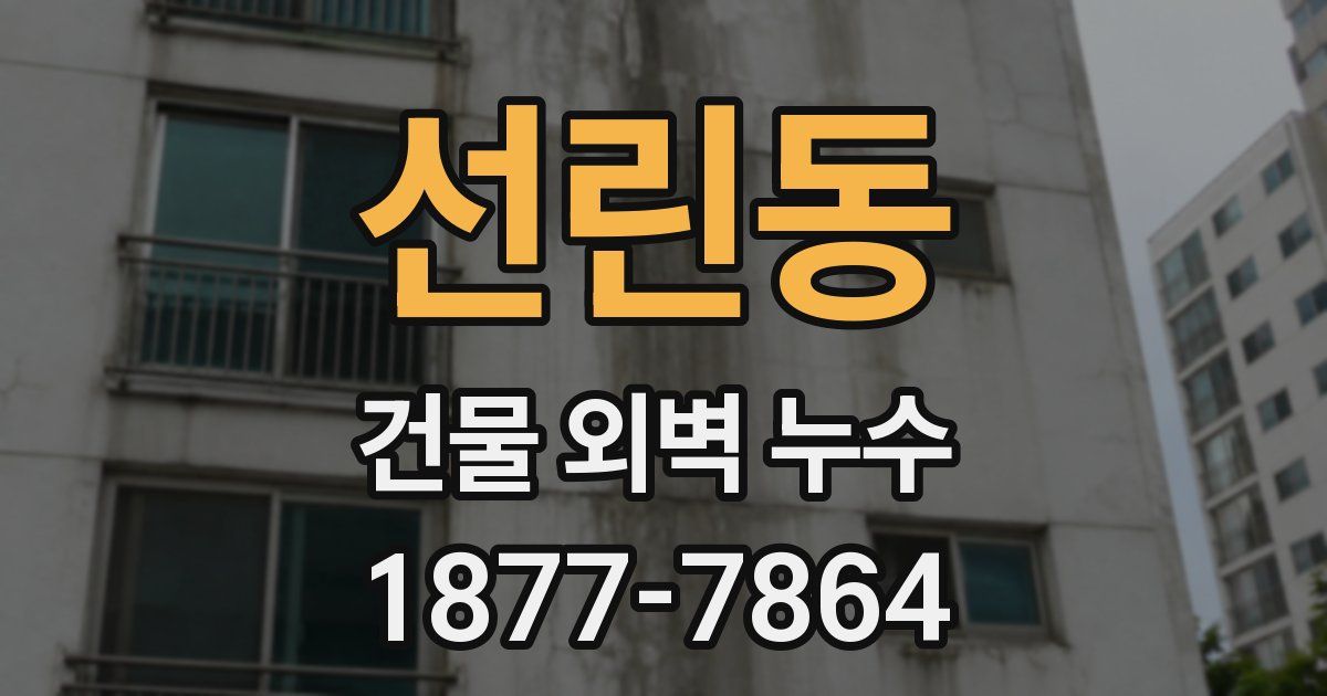 선린동 건물 외벽 누수