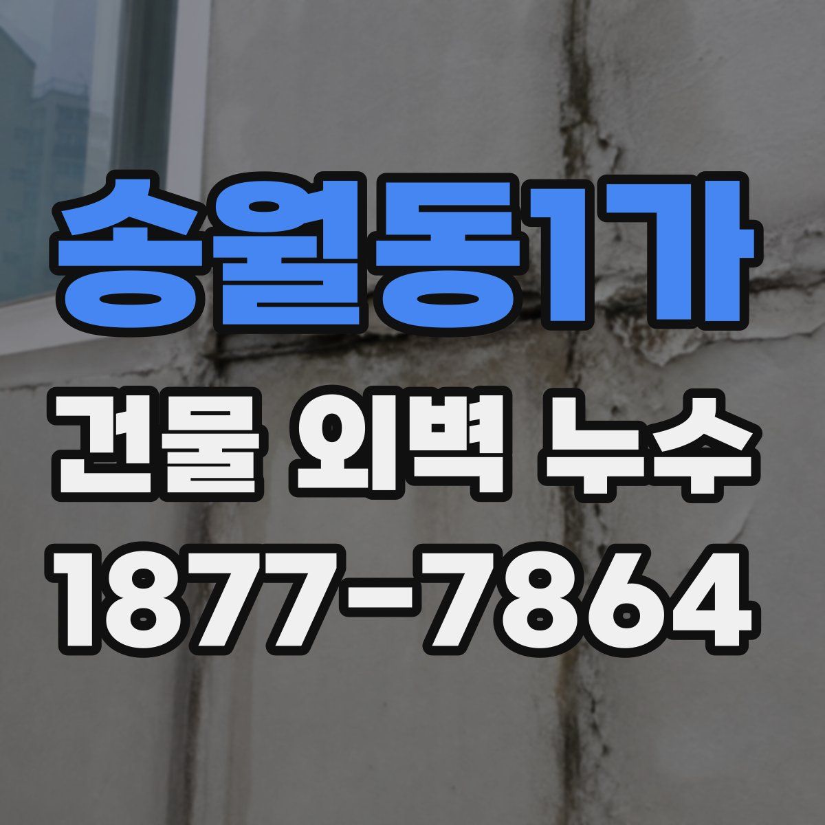 송월동1가 건물 외벽 누수