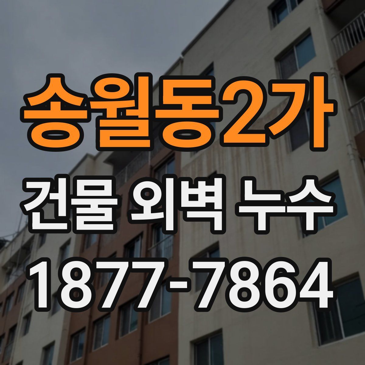 송월동2가 건물 외벽 누수