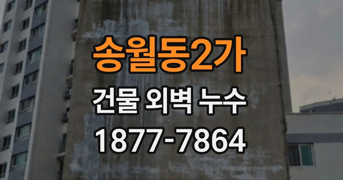 송월동2가 건물 외벽 누수