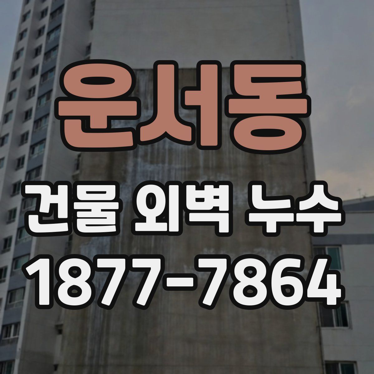 운서동 건물 외벽 누수