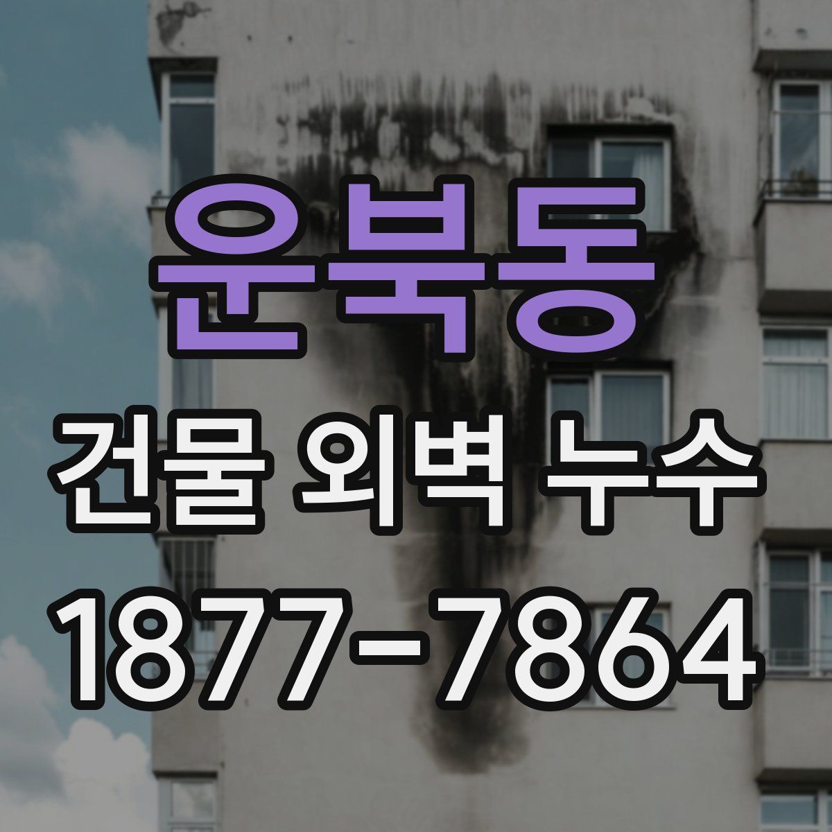 운북동 건물 외벽 누수