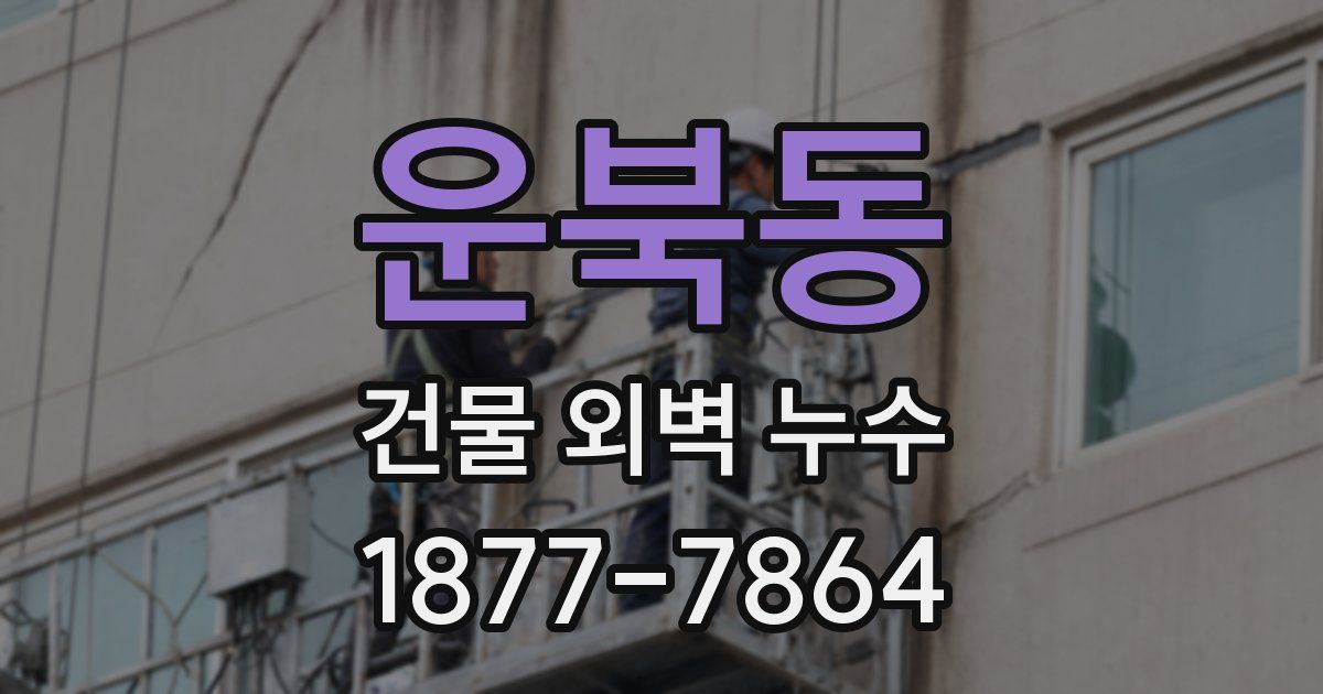 운북동 건물 외벽 누수