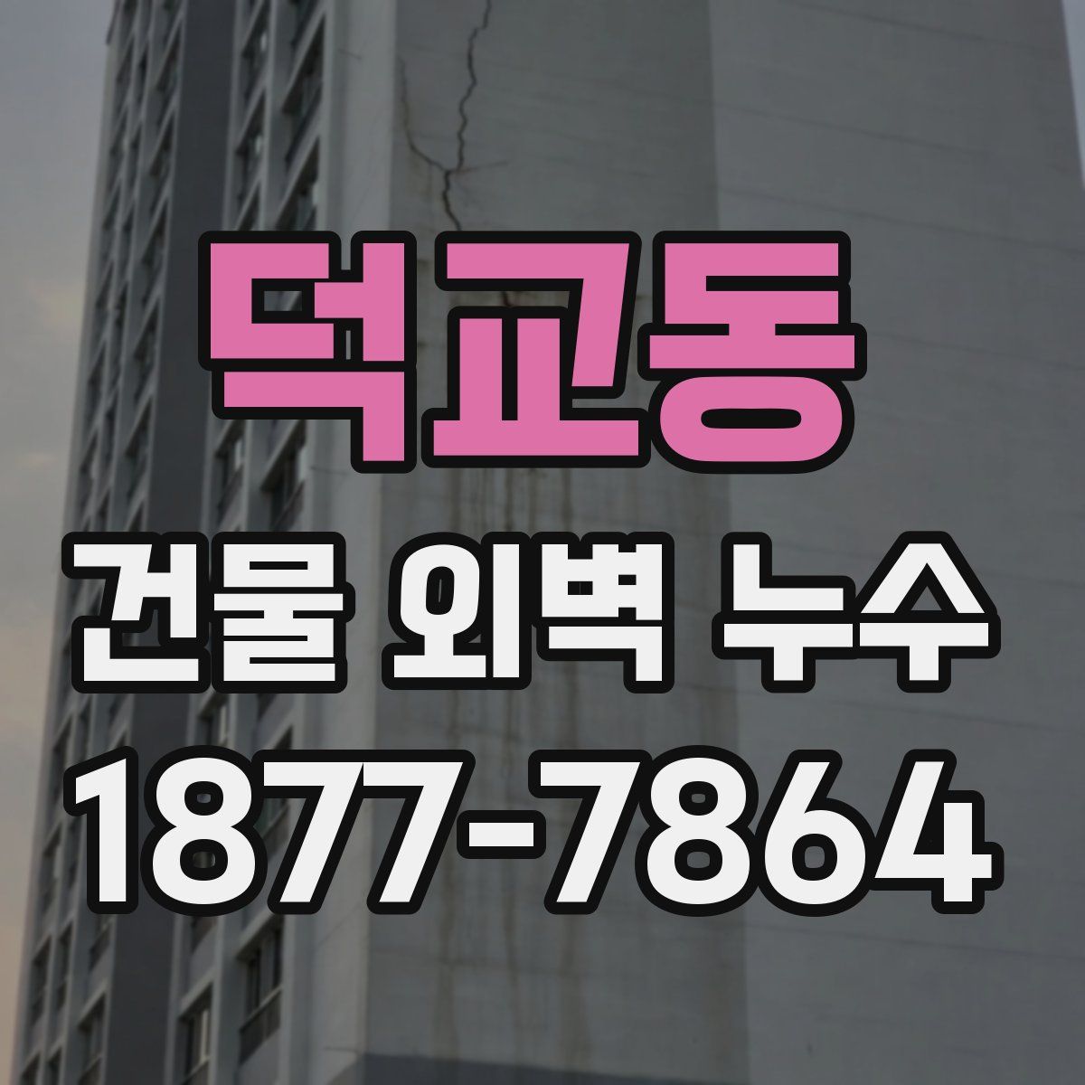 덕교동 건물 외벽 누수