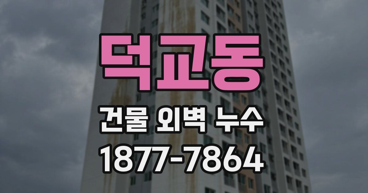 덕교동 건물 외벽 누수