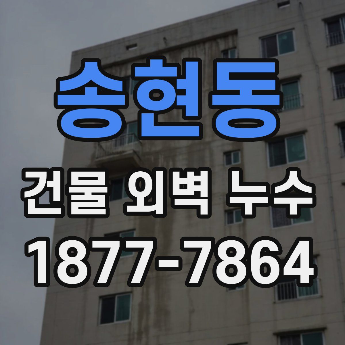 송현동 건물 외벽 누수
