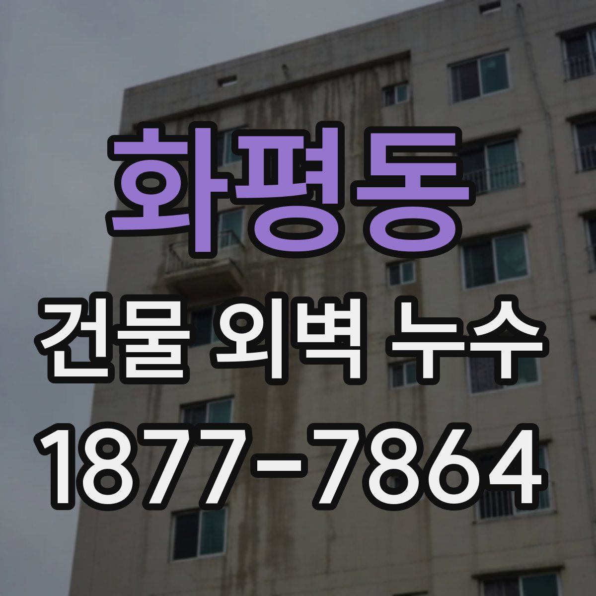 화평동 건물 외벽 누수