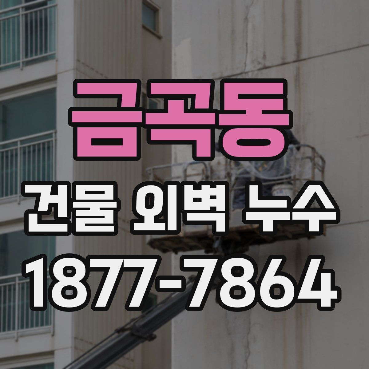 금곡동 건물 외벽 누수