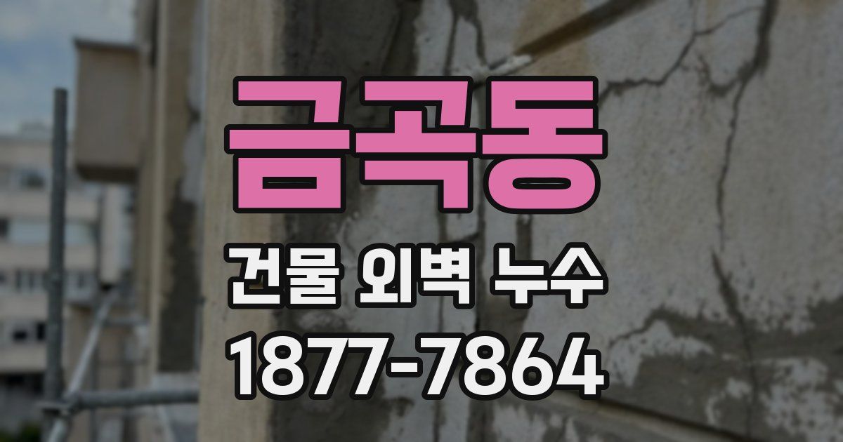 금곡동 건물 외벽 누수