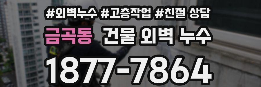 금곡동 건물 외벽 누수