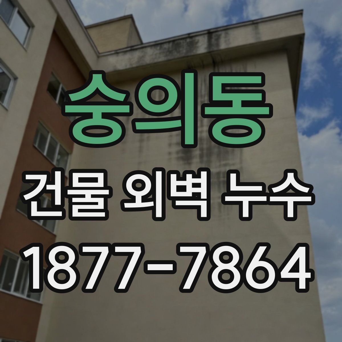 숭의동 건물 외벽 누수