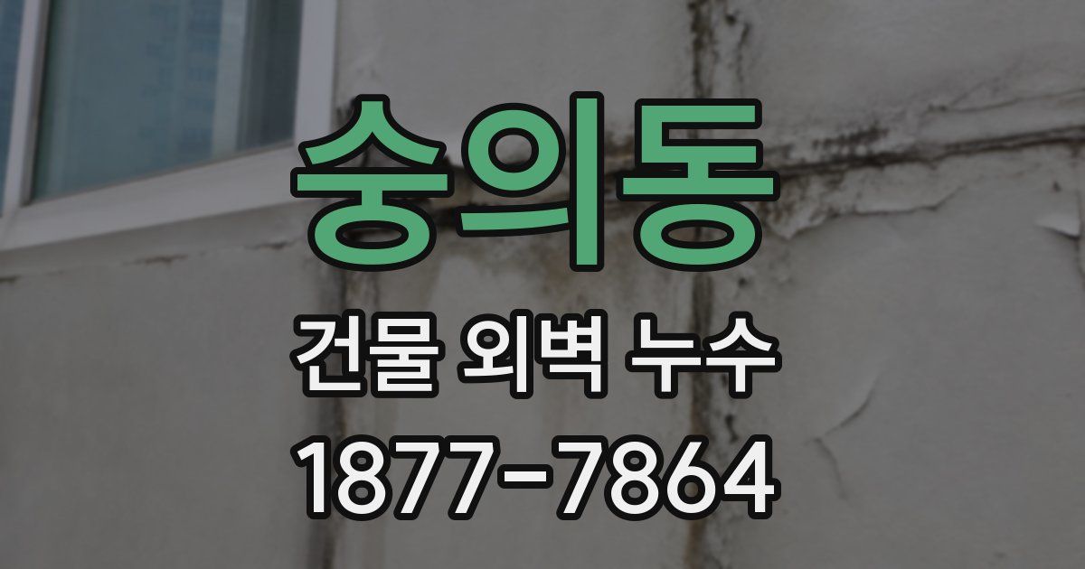 숭의동 건물 외벽 누수