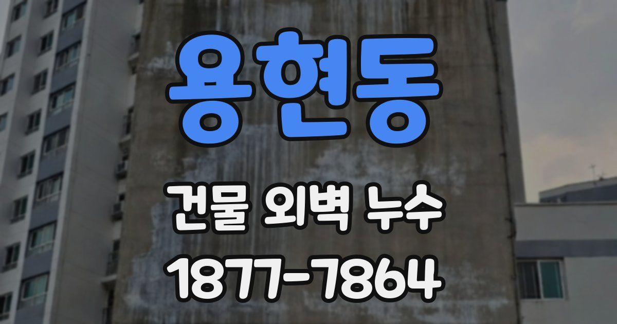 용현동 건물 외벽 누수