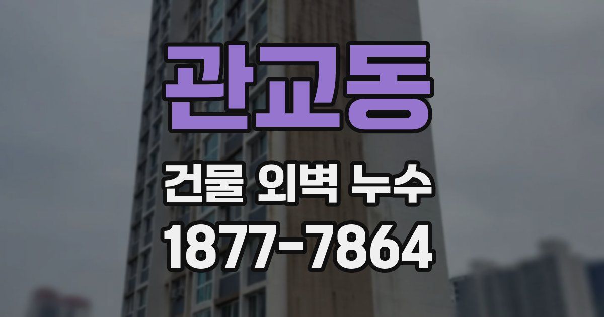 관교동 건물 외벽 누수