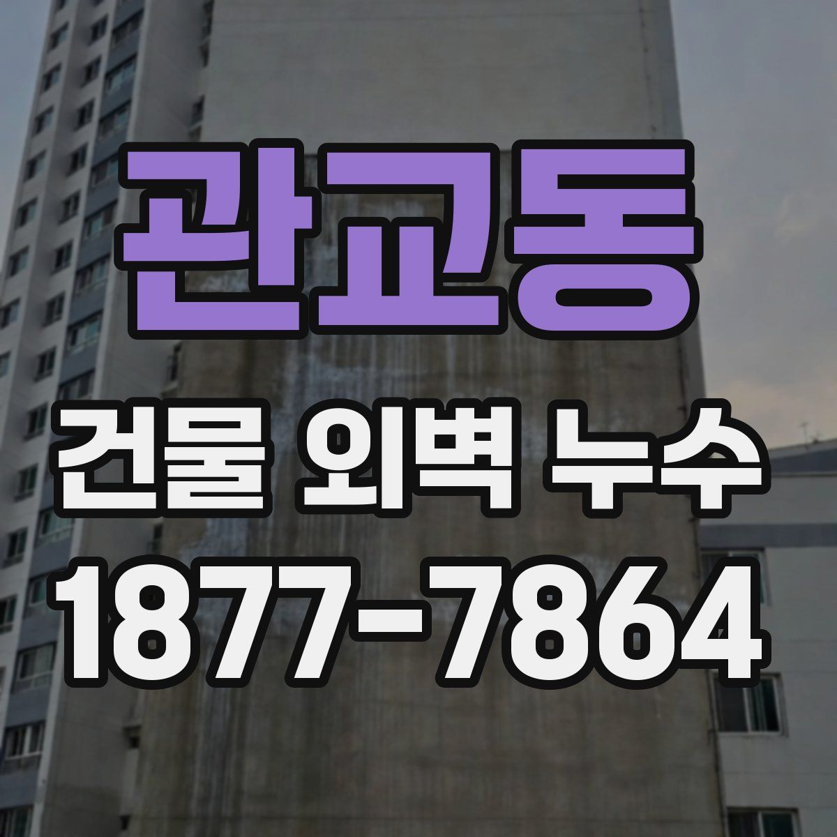 관교동 건물 외벽 누수