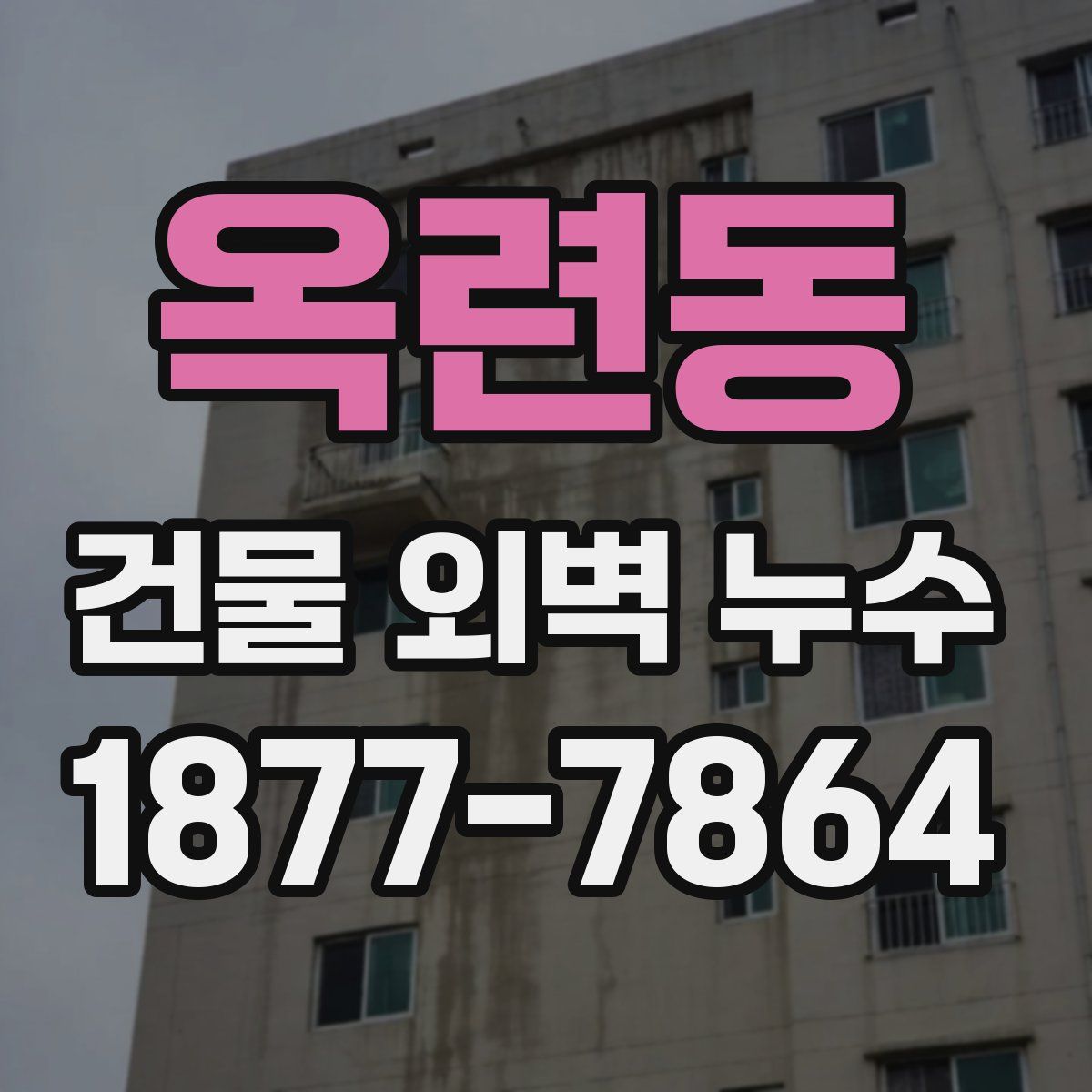 옥련동 건물 외벽 누수