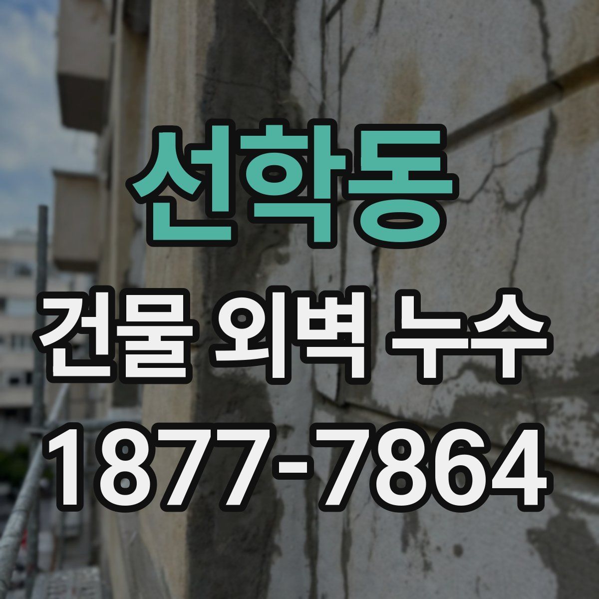 선학동 건물 외벽 누수