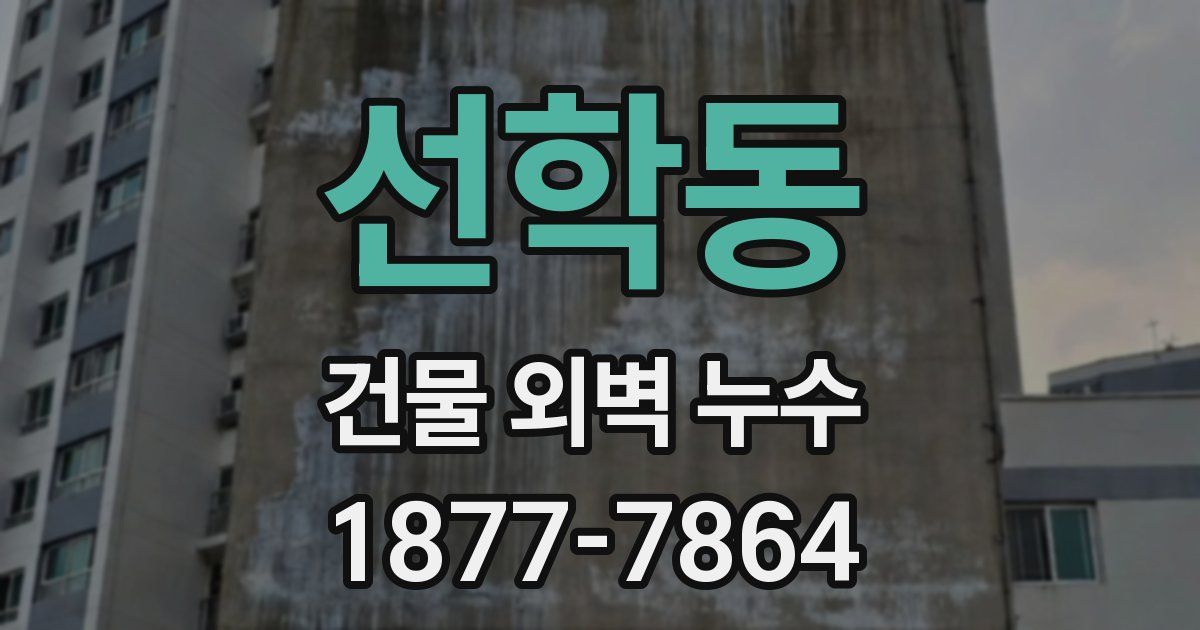 선학동 건물 외벽 누수