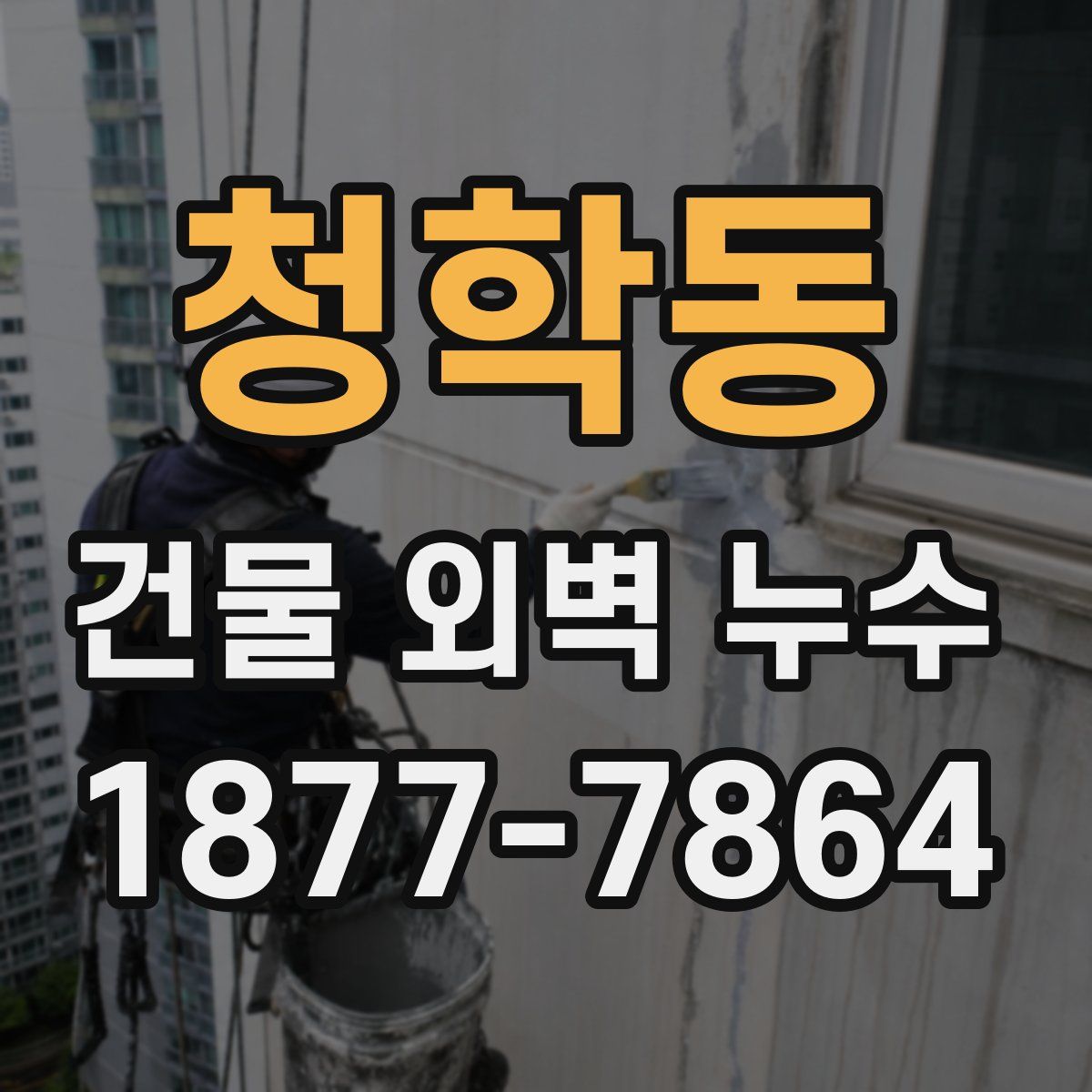 청학동 건물 외벽 누수