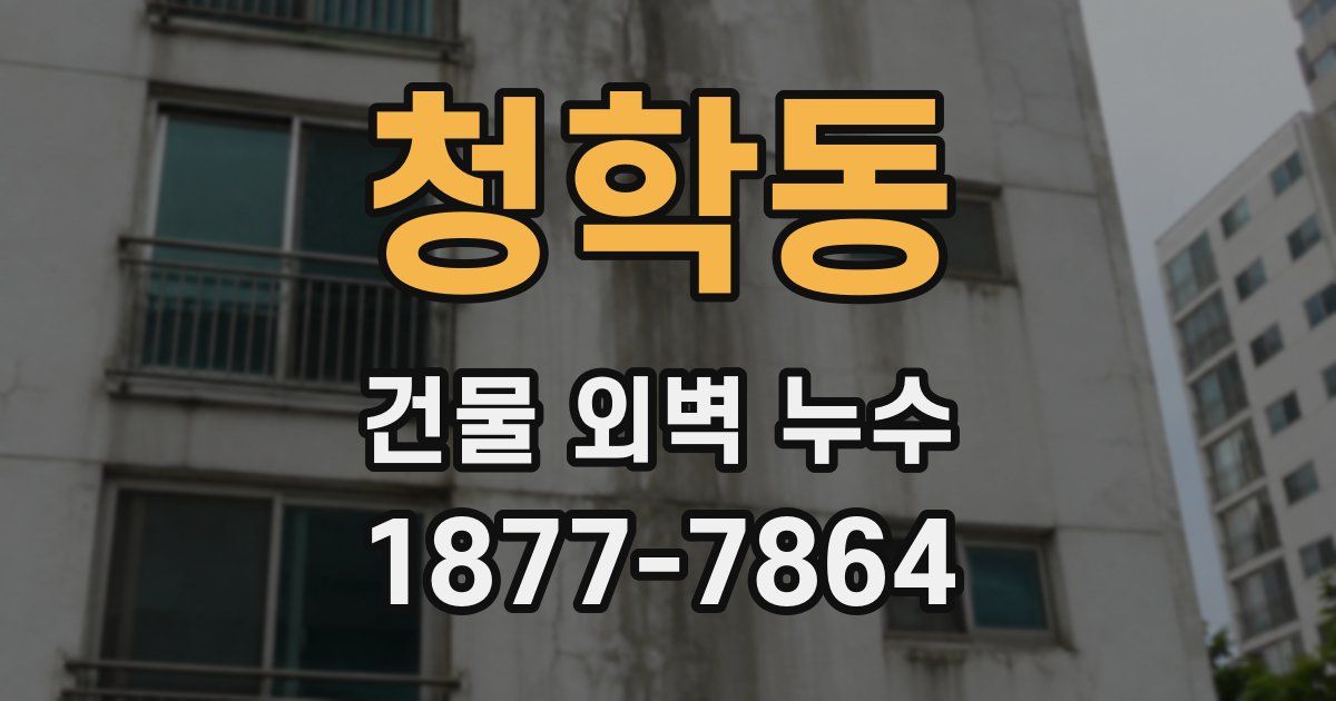 청학동 건물 외벽 누수