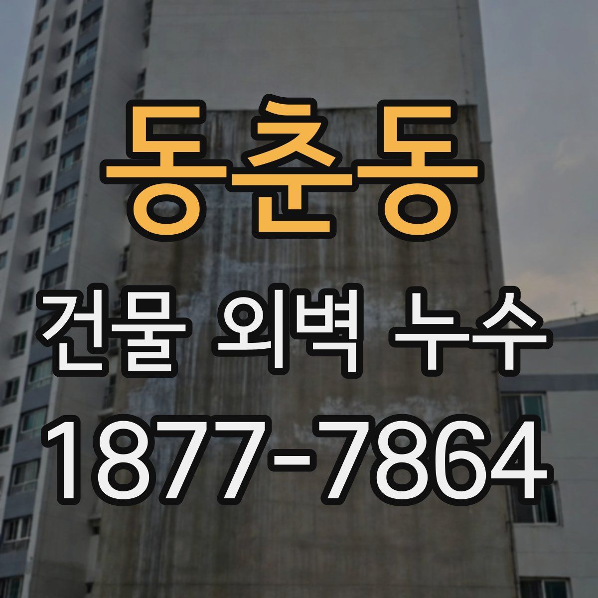 동춘동 건물 외벽 누수