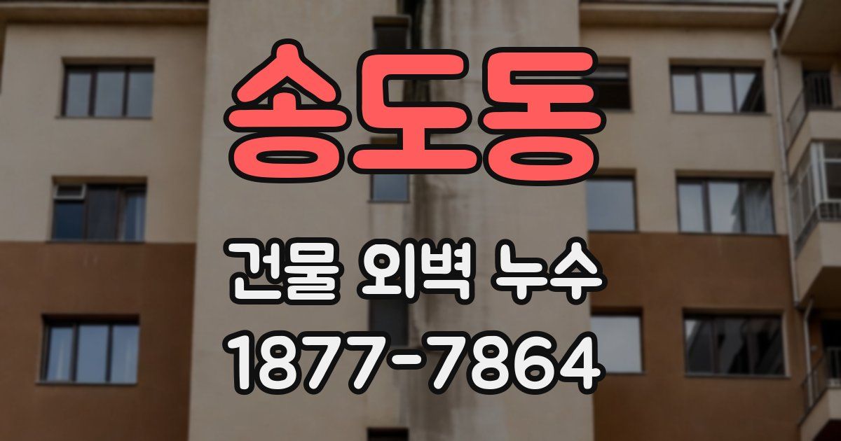송도동 건물 외벽 누수