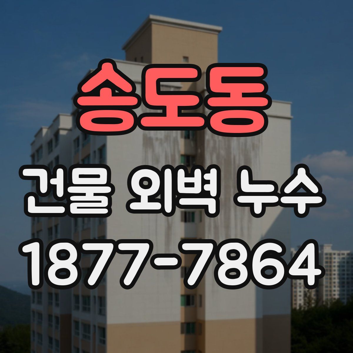 송도동 건물 외벽 누수