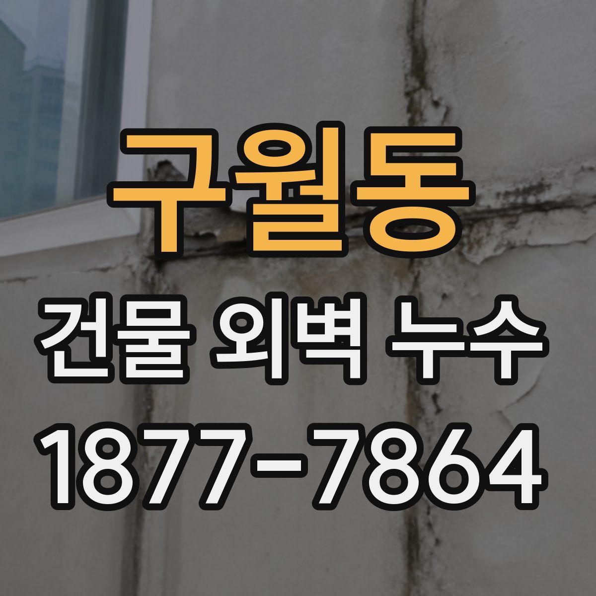 구월동 건물 외벽 누수