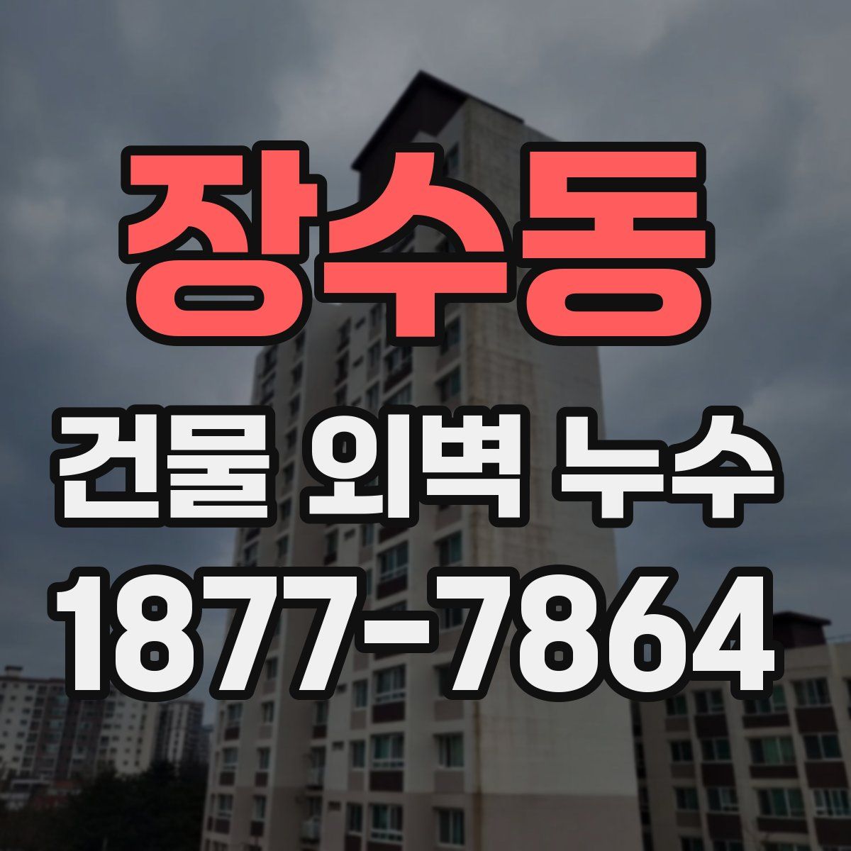 장수동 건물 외벽 누수