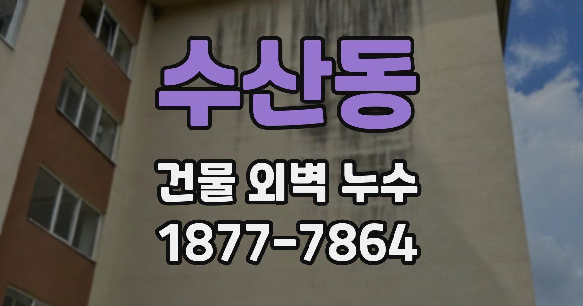 수산동 건물 외벽 누수