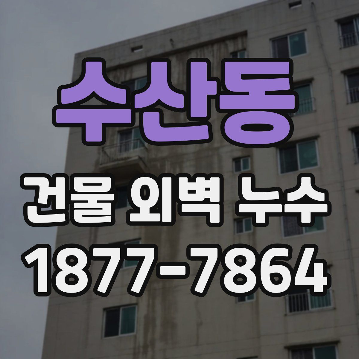 수산동 건물 외벽 누수
