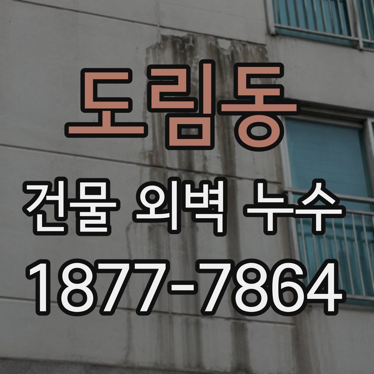 도림동 건물 외벽 누수