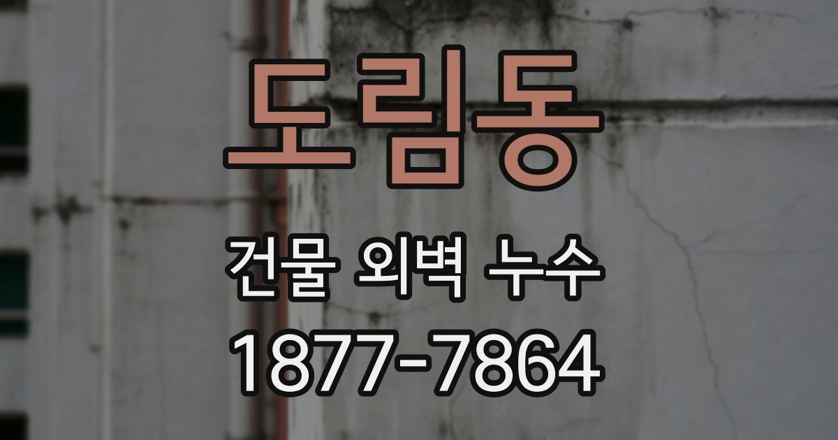 도림동 건물 외벽 누수